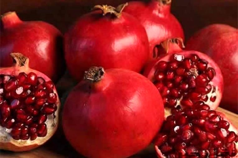 اکثر باغداران باغات خود را بیمه نمیکنند