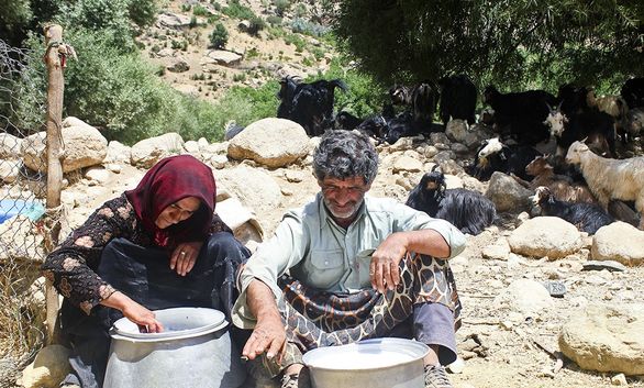 دو میلیون و ۲۰ هزار خانوار روستایی تحت پوشش هیچ بیمهای نیستند