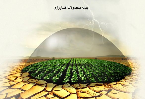 کشاورزان علاقهای به بیمه اراضی ندارند
