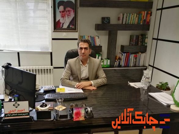 اقبال مردم ایلام به سمت بیمه نامههای بدنه اتومبیل و مسئولیت زیاد است