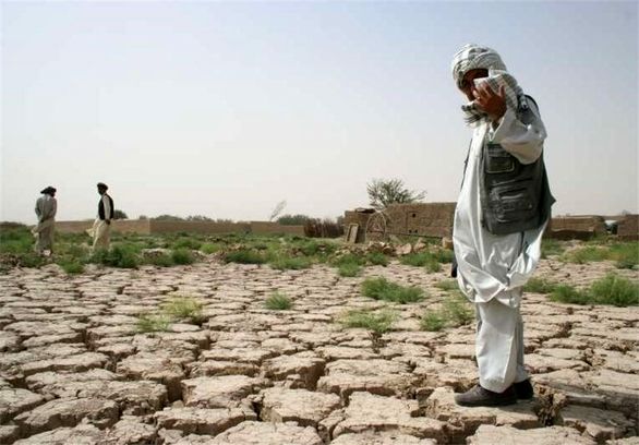 سهم دولت در صندوق بیمه کشاورزی دو برابر شد