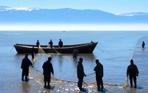 شناورهای صیادی و باری خوزستان از پرداخت حق بیمه سهم کارفرما معاف شدند