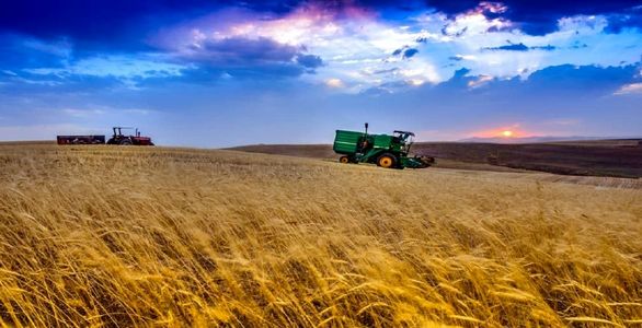 ۱۰۰ درصد عملیات بیمه کشاورزی بر خط انجام میشود