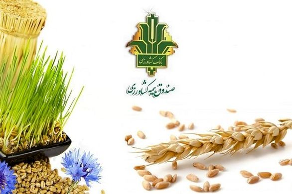 پرداخت اقساطی حق بیمه محصولات کشاورزی میسر شد