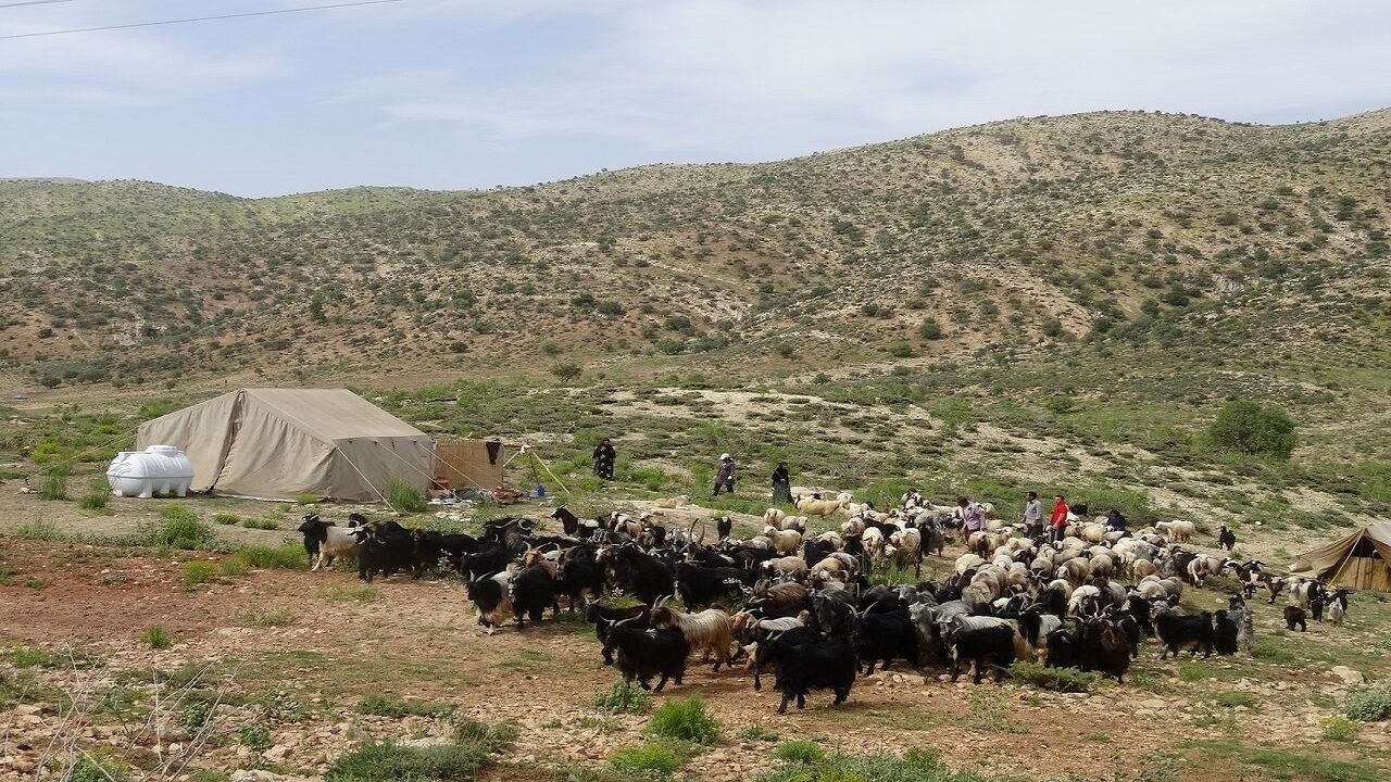 ۱۰۰ هزار خانوار کم بضاعت عشایر کشور بیمه رایگان اجتماعی میشوند
