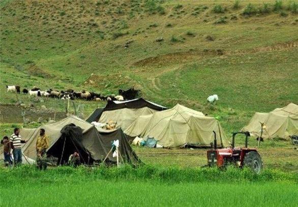 سهم ۱.۵ میلیون دام عشایر لرستان از بیمه تنها ۴۰ هزار رأس است