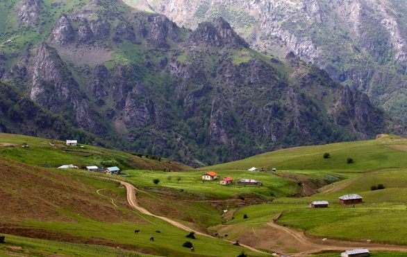 نجات جان مراتع و جنگلها با نسخه اثربخش بیمه اجباری
