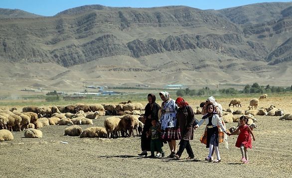 بیش از ۹۰ درصد از جمعیت عشایر تا پایان برنامه ششم تحت پوشش بیمه قرار میگیرند