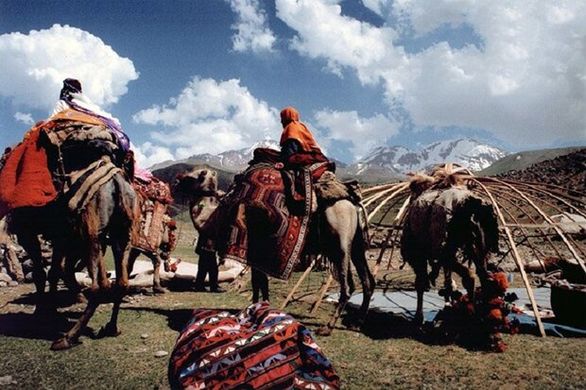 صندوق بیمه عشایر ۶۰ درصد از مشمولان بیمه کرمانشاه را پوشش داد