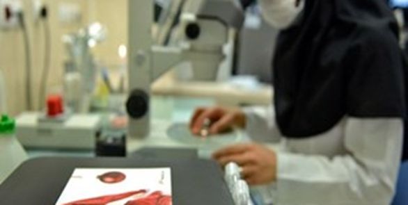 3 و نیم میلیون زوج نابارور در انتظار حمایت بیمهای