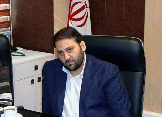 شرکت های بیمه تحلیل دقیقی از سودآوری صنعت لیزینگ ندارند