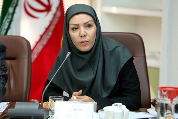 هیچ محدودیتی در صدور ضمانتنامه و بیمهنامه وجود ندارد
