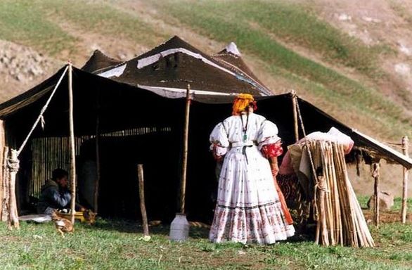 سطح پوشش بیمه روستایی اردبیل 18 درصد افزایش یافت