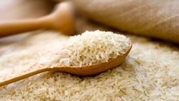 ادامه واردات برنج؛ قیمت‌ها کاهش می‌یابد؟