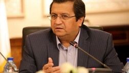 همتی: حساب‌های شخصی و تجاری جداسازی می‌شود