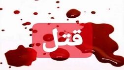 انگیزه عجیب پیرزن برای قتل شوهرش