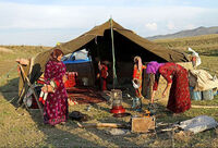 بیمه رایگان زنان روستایی دارای ۳ فرزند و بیشتر/ افزایش ۳۰درصدی مستمری بیمه‌شدگان
