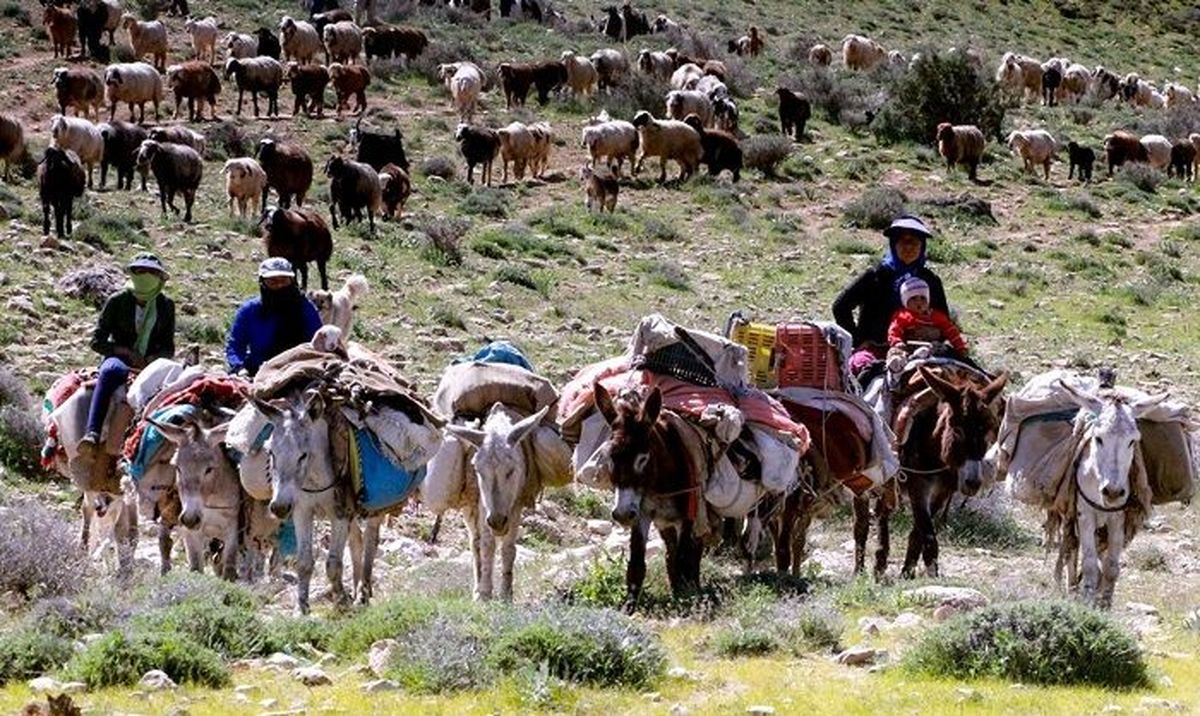 ایجاد ۴۲۰۰ صندوق برای زنان روستایی و عشایری در کشور