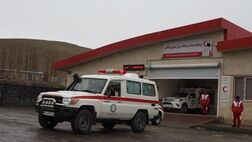 ۱۱۰ خودروی امدادی هلال‌احمر از گمرک ترخیص شد
