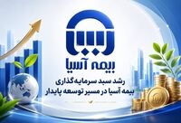 رشد سبد سرمایه‌گذاری بیمه آسیا در مسیر توسعه پایدار

