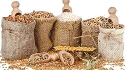  پیش بینی فائو از تولید ۲۰ میلیون تن غله در ایران 