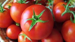 کاهش قیمت گوجه فرنگی در بازار