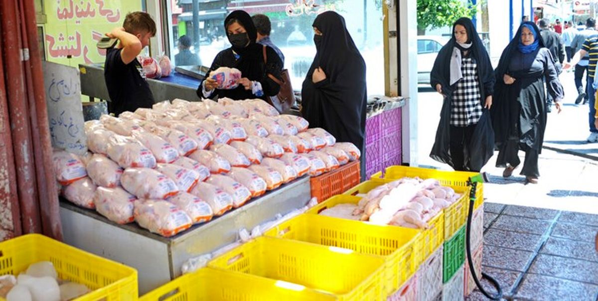 قیمت مرغ در بازار به کمتر از نرخ مصوب رسید