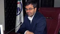 دولت‌ها هیچ منابعی به جز تامین سرمایه اولیه بیمه‌های دولتی در بیمه سرمایه‌گذاری نداشته‌اند