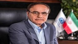 صنعت بیمه به صندوق تامین خسارت‌های بدنی به چشم یک مکمل با ارزش می نگرد