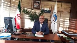 افزایش نرخ دیه و حق بیمه تاثیری در میزان فروش بیمه نامه ندارد