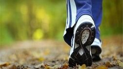 ورزش های ساده هوازی ریسک سکته مغزی را کاهش می دهند