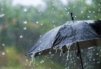 رگبار و وزش باد شدید در تهران
