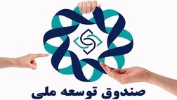 سرنوشت یک میلیارد یورو برداشتی از صندوق توسعه برای مقابله با کرونا چه شد؟