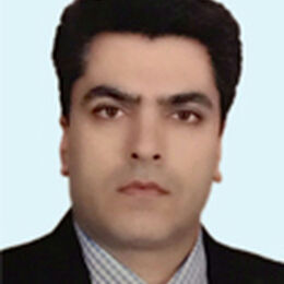 مجتبی  دهقاندار