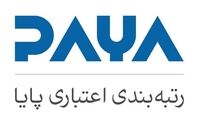 سود خالص رتبه بندی اعتباری پایا صعودی شد