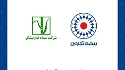 بیمه تعاون برنده مناقصه هلدینگ نیشکر شد
