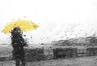 ۱۴ استان پربارش شده‌اند