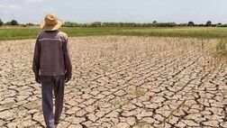 بیش از نیمی از زمین‌های عراق در معرض تبدیل شدن به بیابان