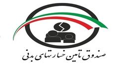 صندوق تامین خسارت‌های بدنی در چهار استان فعال نیست/ ۸ درصد منابع مالی صندوق از شرکت‌های بیمه‌ای تامین شد