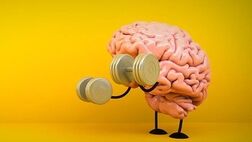 چه فعالیت‌هایی مغز را تقویت می‌کنند؟