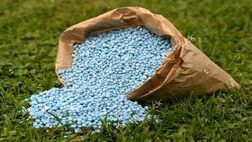 تامین ۳ میلیون تن کود برای سال زراعی جدید