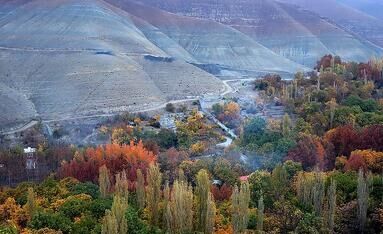thm_18560270_289