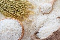 ثبت سفارش برنج فردا آغاز می‌شود