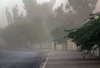 احتمال طوفان در تهران/ رگبار و رعد و برق در برخی مناطق
