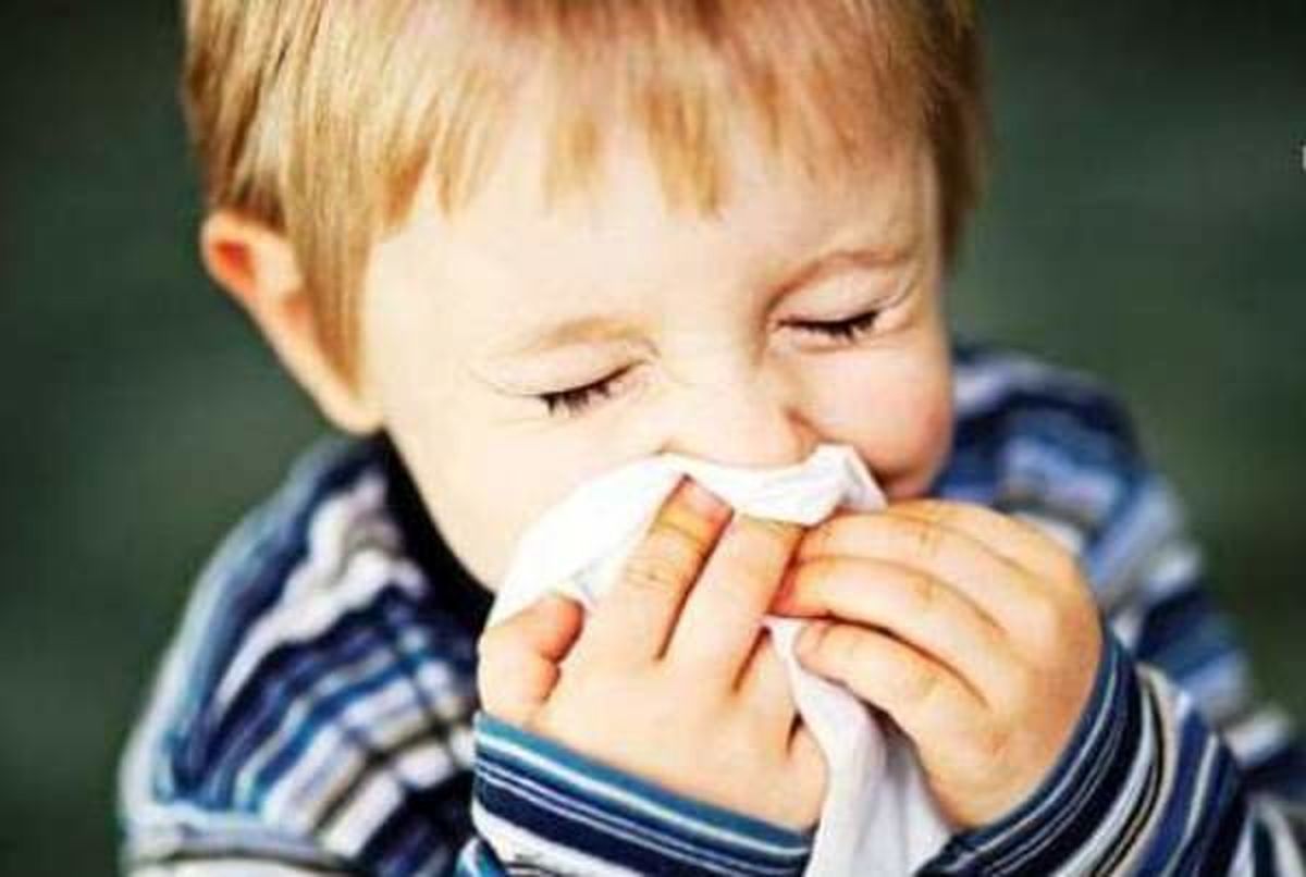 آنچه باید درباره آنفلوانزای گوجه فرنگی بدانیم