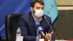 یک ریال از محل واقعی سازی ارز برای دولت نیست