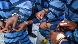 ۶ سارق در بروجرد دستگیر شد
