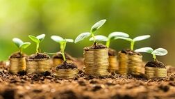  بدهی ۸ همتی صندوق بیمه کشاورزی تسویه شد 
