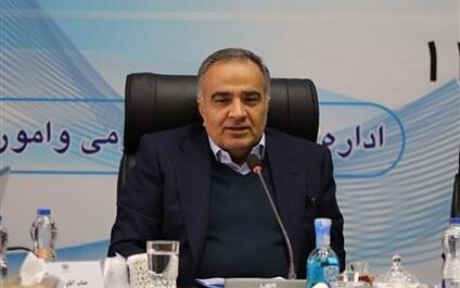 نظام نظارتی هوشمند با استقرار سامانه بیمه گری نهادینه خواهد شد