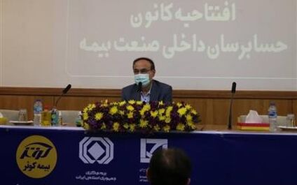 حسابرسان داخلی در کارایی و اثربخشی شرکت های بیمه نقش مهمی دارند